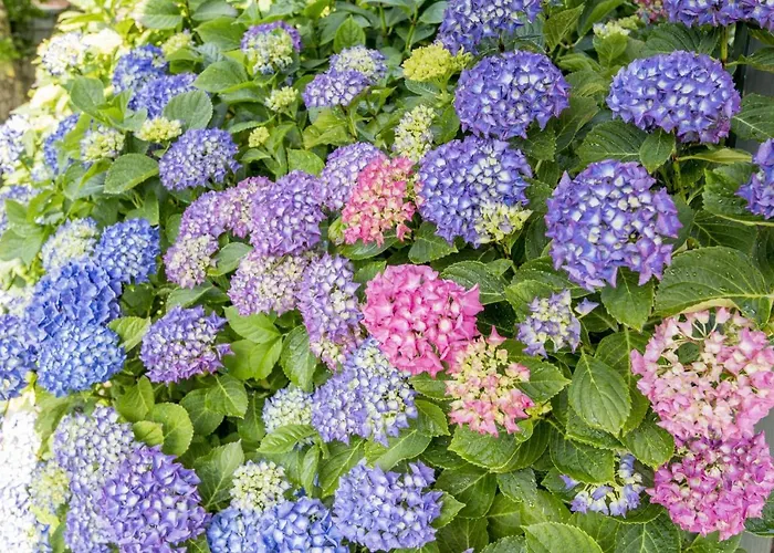 Haus Norderstrasse 77 Westerland